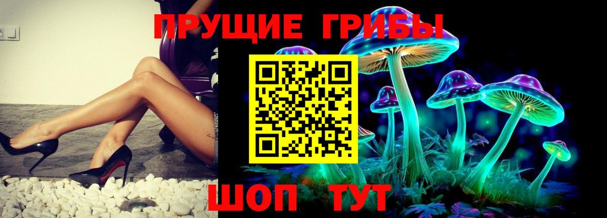 Псилоцибиновые грибы Magic Shrooms  где купить наркоту  Нововоронеж  Вход с VPN 